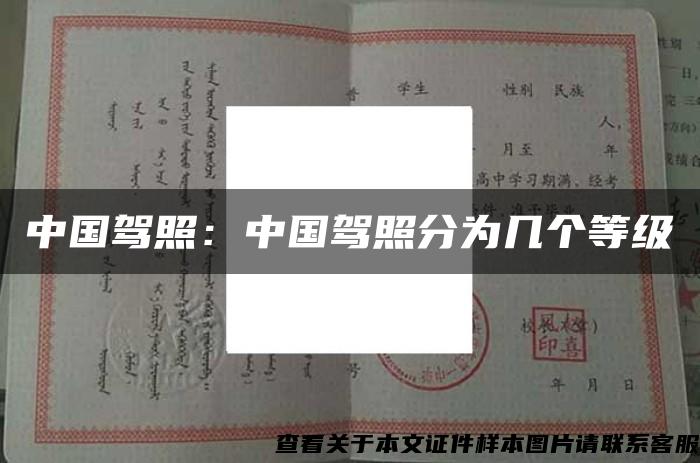 中国驾照：中国驾照分为几个等级