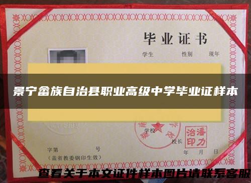 景宁畲族自治县职业高级中学毕业证样本