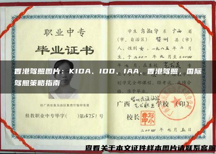 香港驾照图片：KIDA、IDD、IAA、香港驾照，国际驾照策略指南