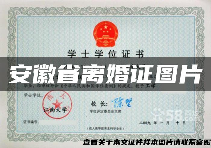 安徽省离婚证图片