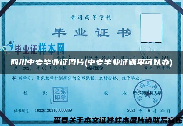 四川中专毕业证图片(中专毕业证哪里可以办) 四川中专毕业证图片(中专毕业证哪里可以办)