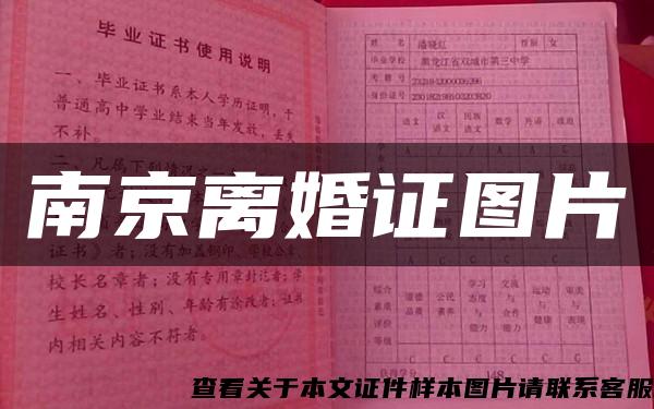 南京离婚证图片