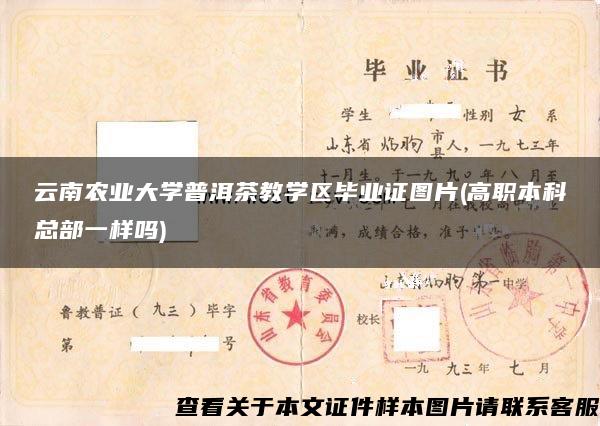 云南农业大学普洱茶教学区毕业证图片(高职本科总部一样吗)
