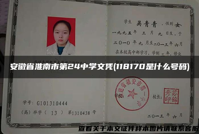 安徽省淮南市第24中学文凭(118170是什么号码)