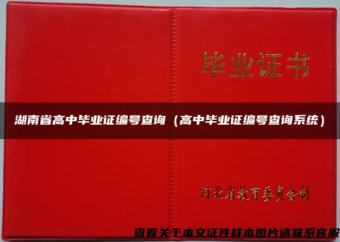 湖南省高中毕业证编号查询（高中毕业证编号查询系统）