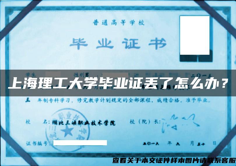 上海理工大学毕业证丢了怎么办？