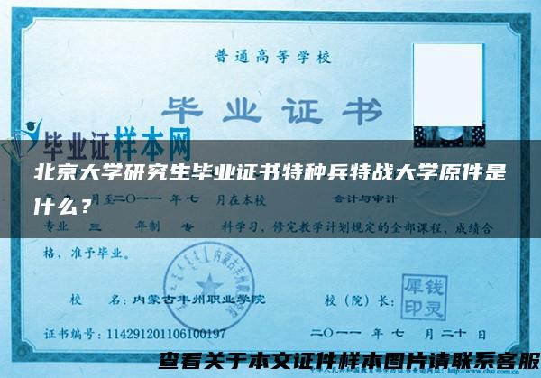 北京大学研究生毕业证书特种兵特战大学原件是什么？
