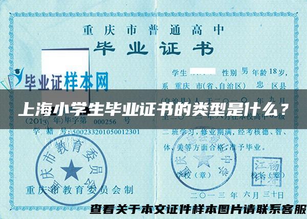 上海小学生毕业证书的类型是什么？