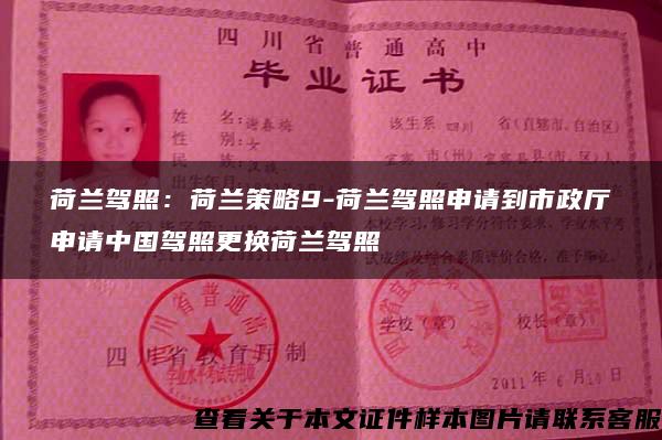 荷兰驾照：荷兰策略9-荷兰驾照申请到市政厅申请中国驾照更换荷兰驾照