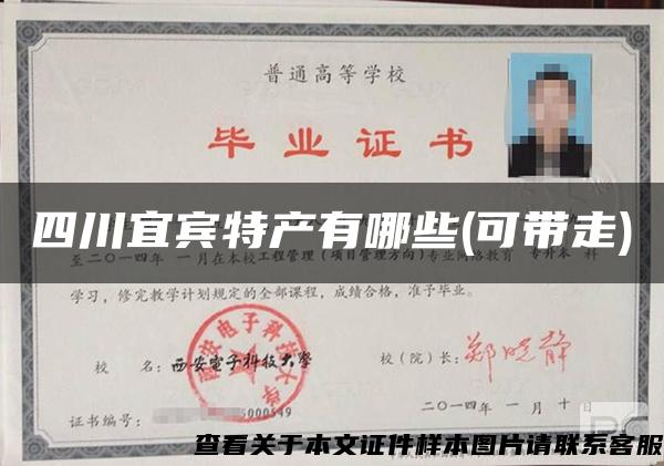 四川宜宾特产有哪些(可带走)