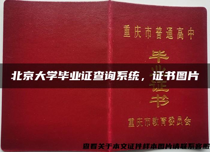 北京大学毕业证查询系统，证书图片