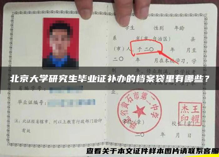 北京大学研究生毕业证补办的档案袋里有哪些？