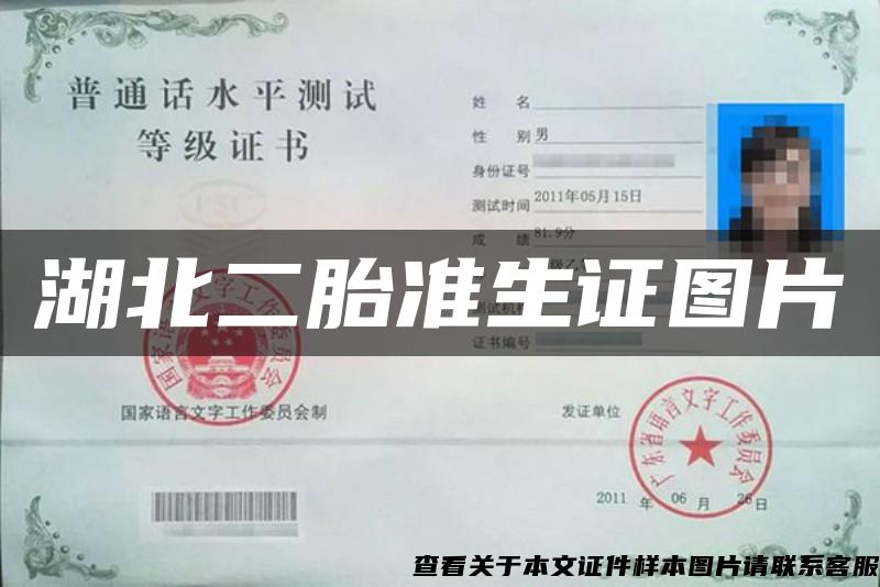 湖北二胎准生证图片