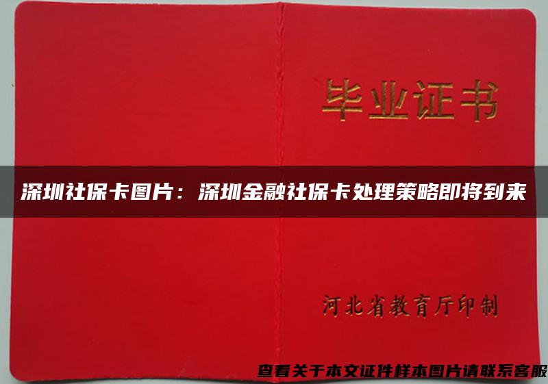 深圳社保卡图片：深圳金融社保卡处理策略即将到来