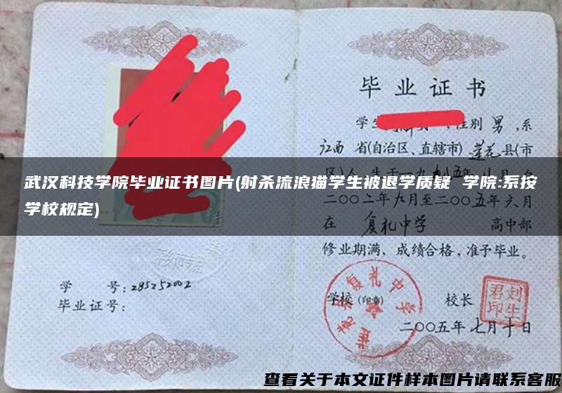 武汉科技学院毕业证书图片(射杀流浪猫学生被退学质疑 学院:系按学校规定)