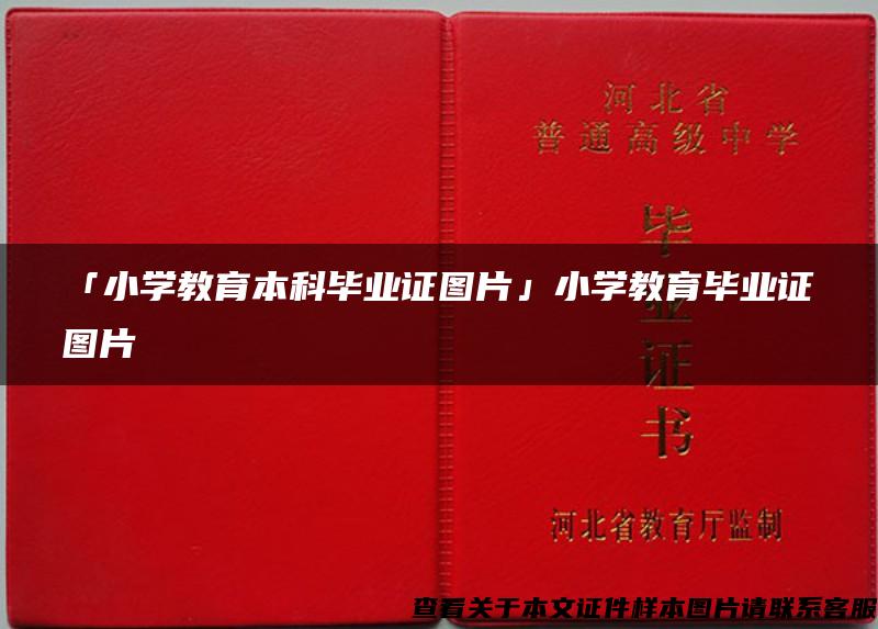 「小学教育本科毕业证图片」小学教育毕业证图片