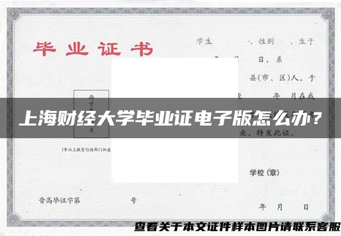 上海财经大学毕业证电子版怎么办？