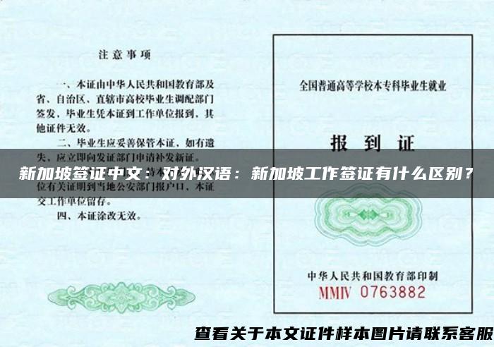 新加坡签证中文：对外汉语：新加坡工作签证有什么区别？