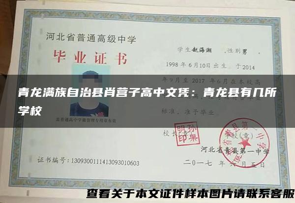 青龙满族自治县肖营子高中文凭：青龙县有几所学校