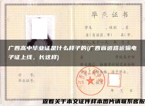 广西高中毕业证是什么样子的(广西省道路运输电子证上线，长这样)