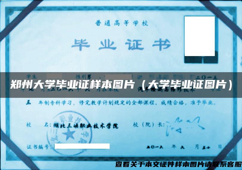 郑州大学毕业证样本图片（大学毕业证图片）