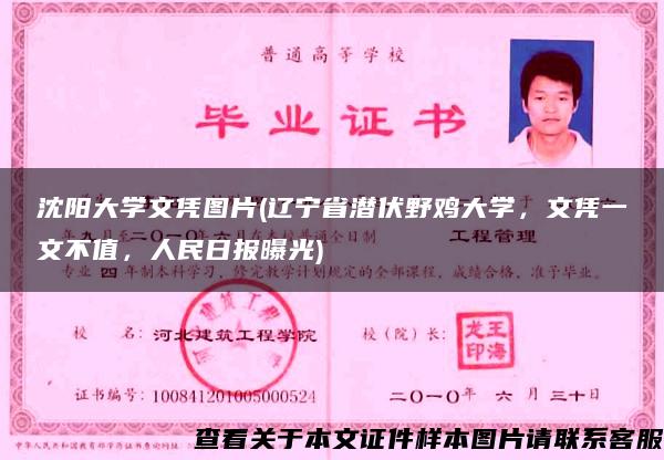 沈阳大学文凭图片(辽宁省潜伏野鸡大学，文凭一文不值，人民日报曝光)