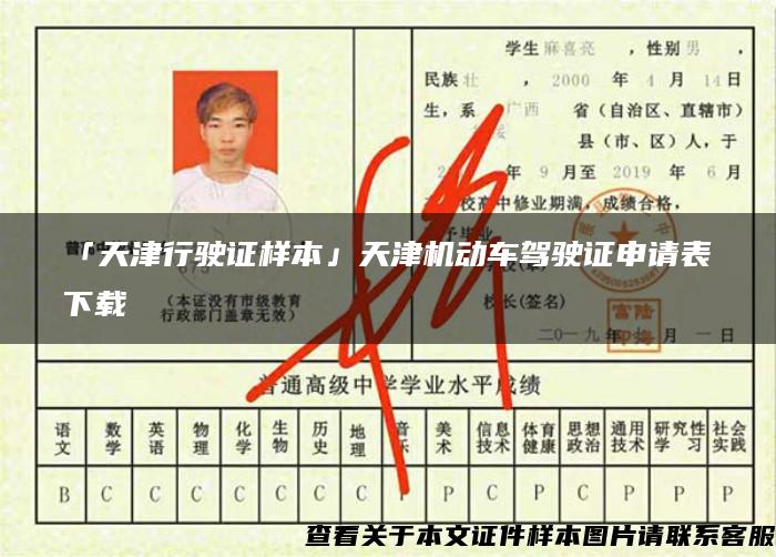 「天津行驶证样本」天津机动车驾驶证申请表下载