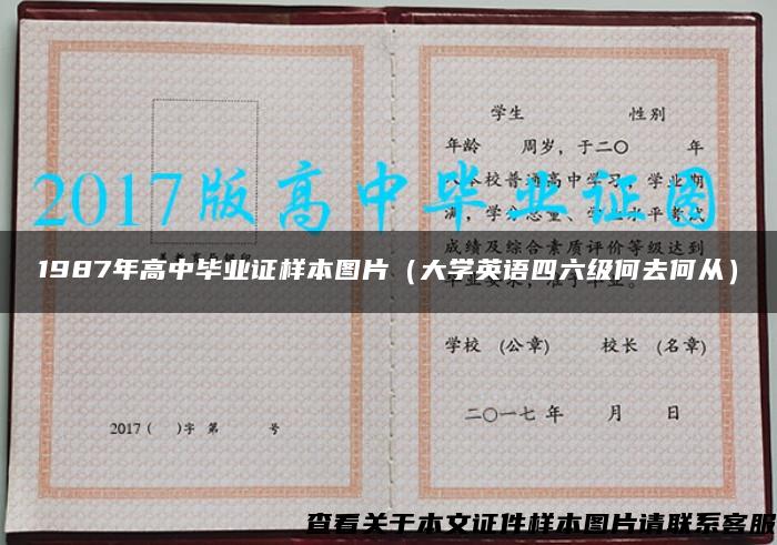 1987年高中毕业证样本图片（大学英语四六级何去何从）