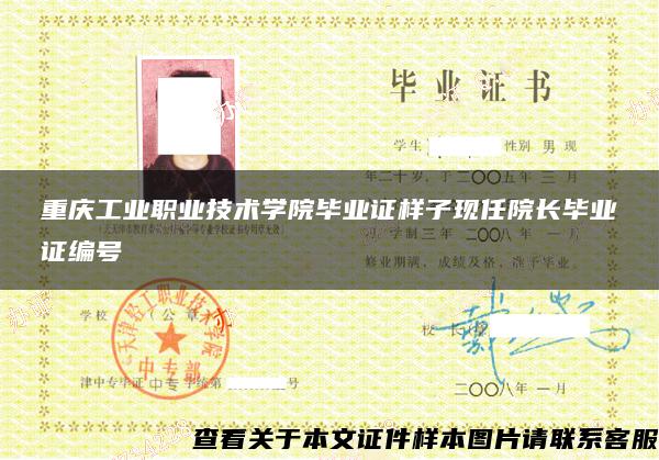 重庆工业职业技术学院毕业证样子现任院长毕业证编号