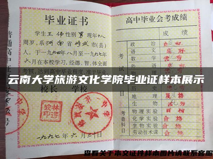 云南大学旅游文化学院毕业证样本展示