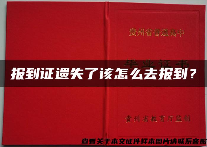 报到证遗失了该怎么去报到？