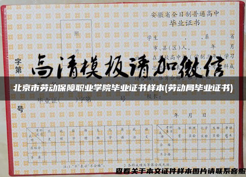 北京市劳动保障职业学院毕业证书样本(劳动局毕业证书)