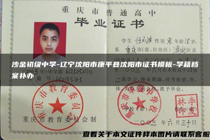 沙金初级中学-辽宁沈阳市康平县沈阳市证书模板-学籍档案补办 沙金初级中学-辽宁沈阳市康平县沈阳市证书模板-学籍档案补办