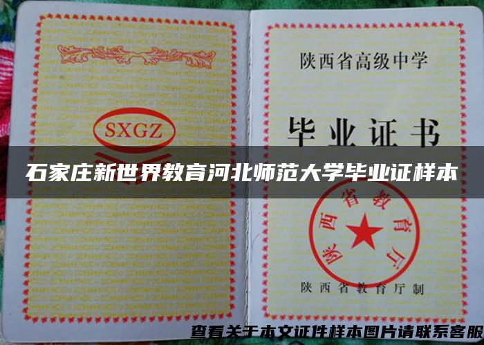 石家庄新世界教育河北师范大学毕业证样本