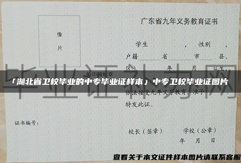 「湖北省卫校毕业的中专毕业证样本」中专卫校毕业证图片