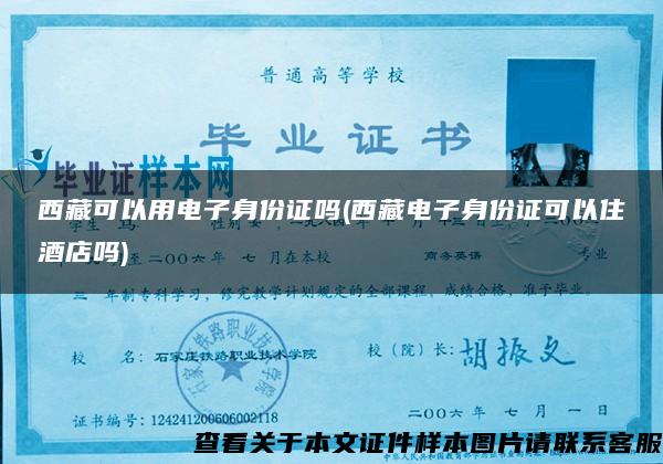 西藏可以用电子身份证吗(西藏电子身份证可以住酒店吗)