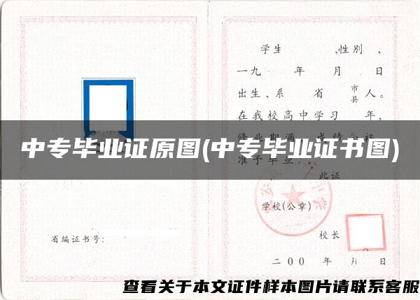 中专毕业证原图(中专毕业证书图)