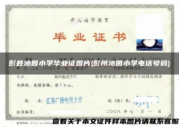 彭县沁园小学毕业证图片(彭州沁园小学电话号码)