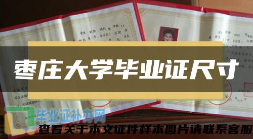 枣庄大学毕业证尺寸