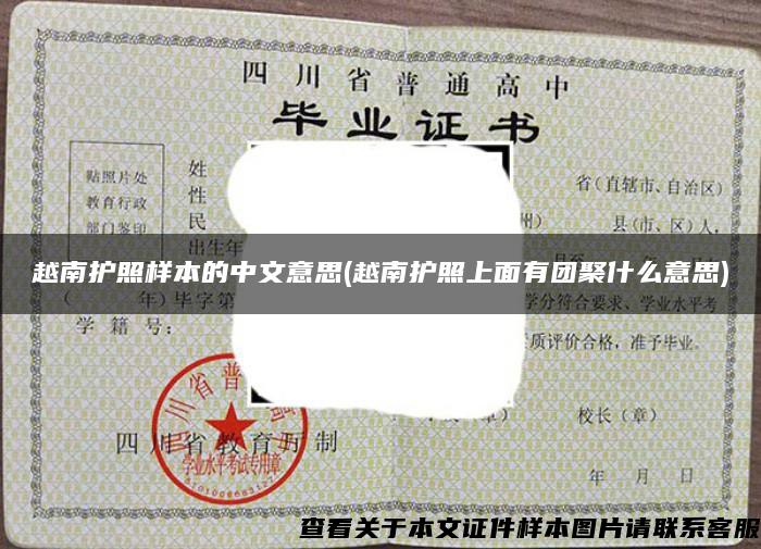 越南护照样本的中文意思(越南护照上面有团聚什么意思)