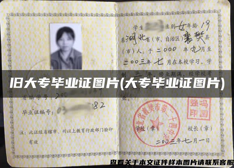 旧大专毕业证图片(大专毕业证图片)