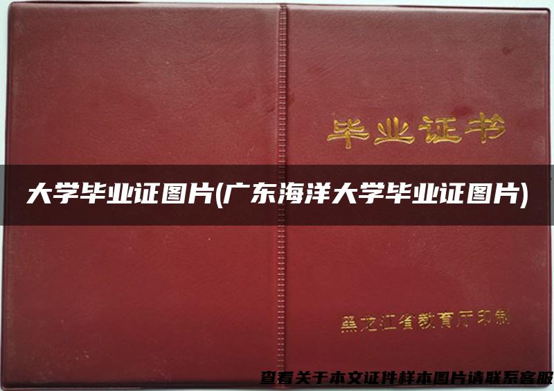 大学毕业证图片(广东海洋大学毕业证图片)