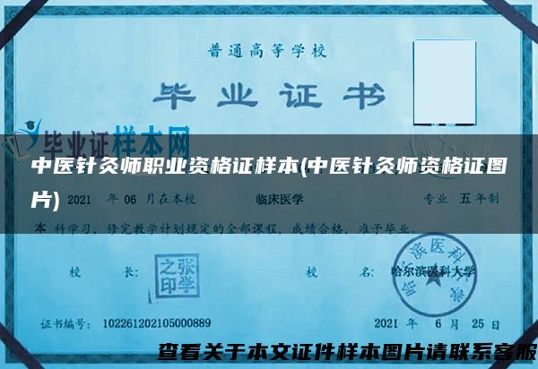 中医针灸师职业资格证样本(中医针灸师资格证图片)