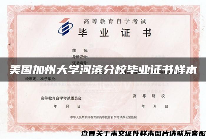 美国加州大学河滨分校毕业证书样本