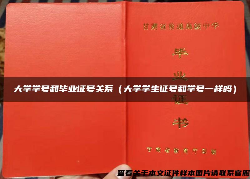 大学学号和毕业证号关系（大学学生证号和学号一样吗）