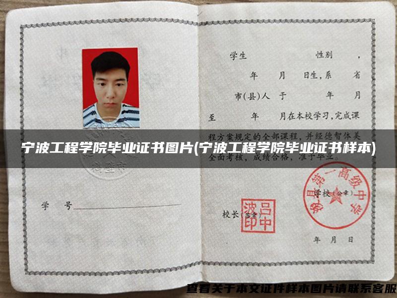 宁波工程学院毕业证书图片(宁波工程学院毕业证书样本) 宁波工程学院毕业证书图片(宁波工程学院毕业证书样本)