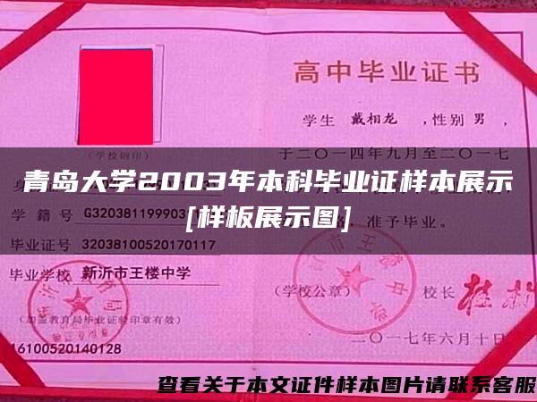 青岛大学2003年本科毕业证样本展示[样板展示图]