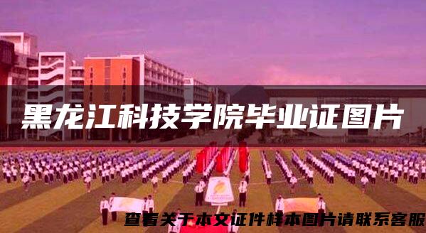 黑龙江科技学院毕业证图片