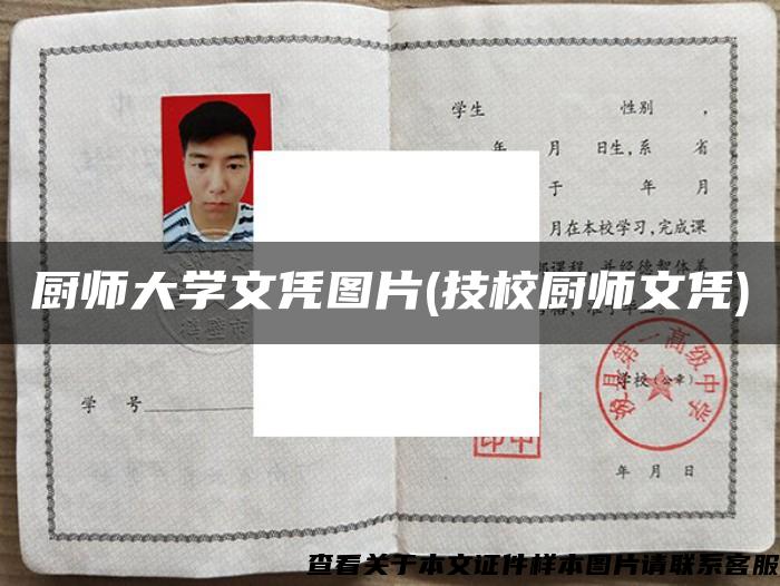 厨师大学文凭图片(技校厨师文凭) 厨师大学文凭图片(技校厨师文凭)