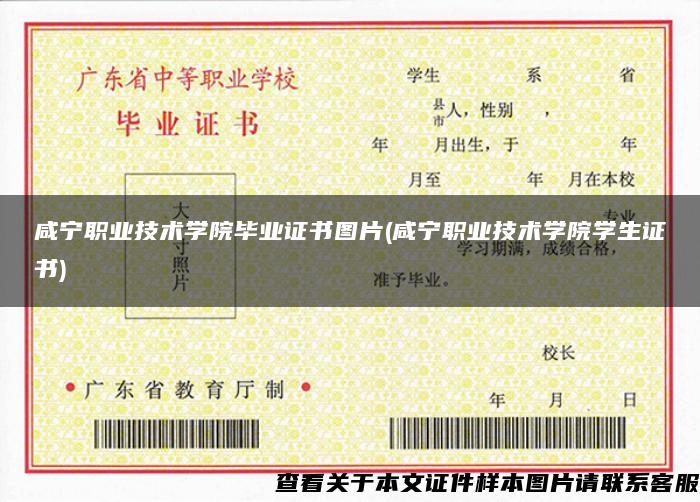 咸宁职业技术学院毕业证书图片(咸宁职业技术学院学生证书)